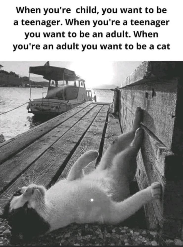 GIF uploaded by Waynez