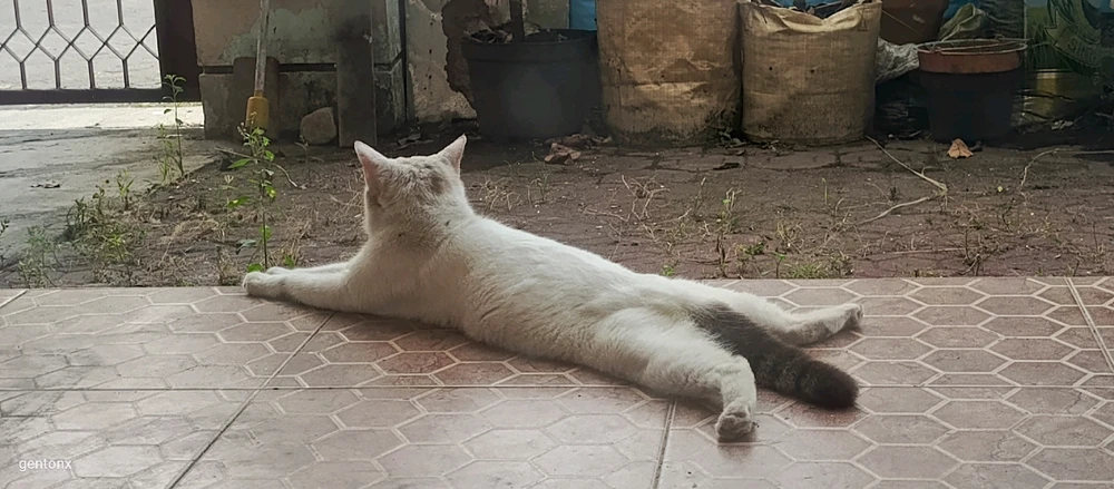 GIF uploaded by Melt