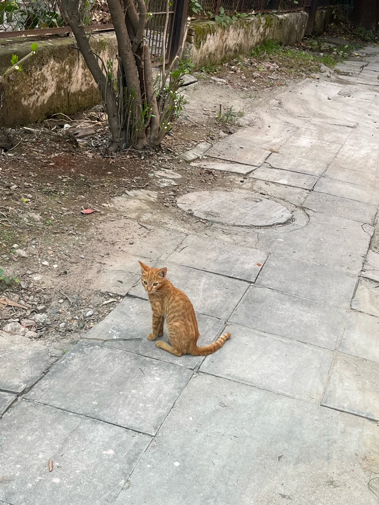 GIF uploaded by Hardik