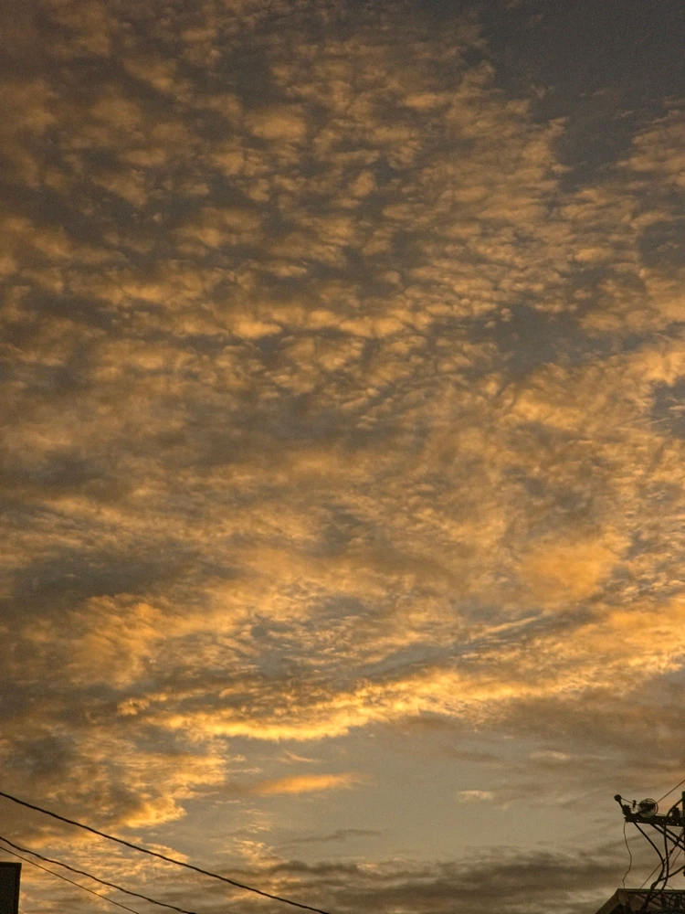 GIF uploaded by Lester