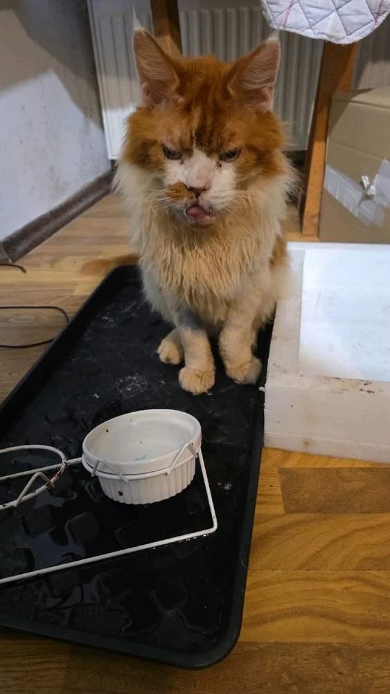 GIF dodany przez Umberto