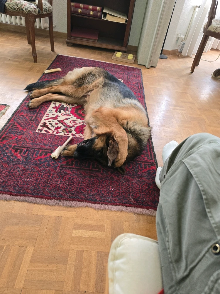 GIF hochgeladen von Raphael