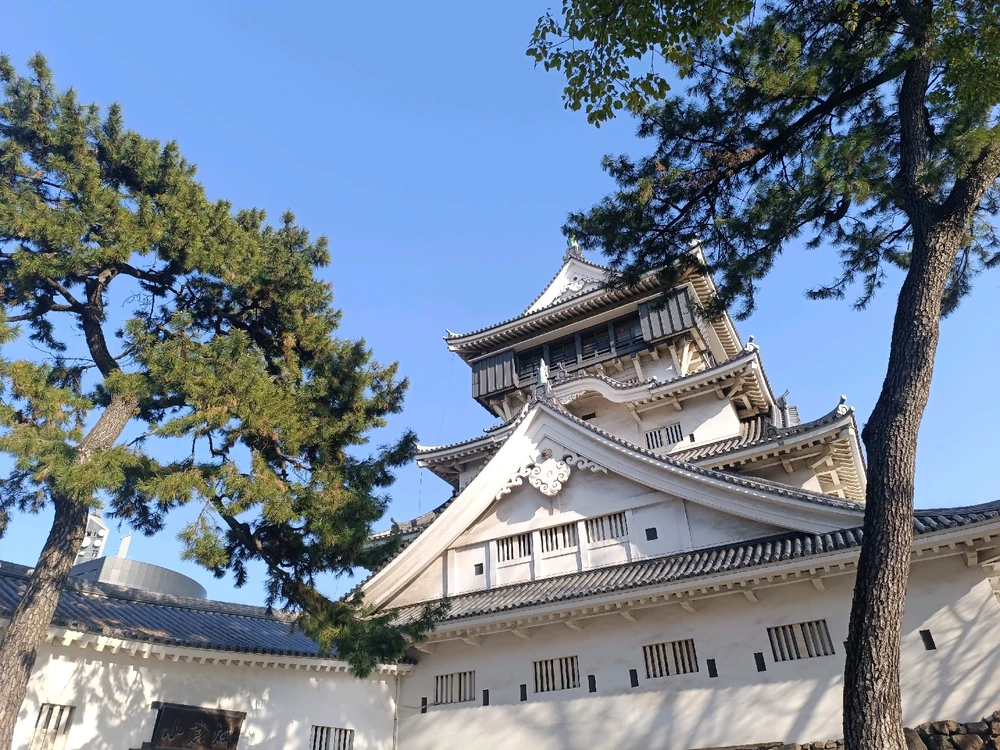 Image uploaded by Carlos カルロス