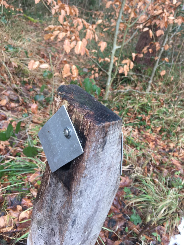 GIF hochgeladen von Helen