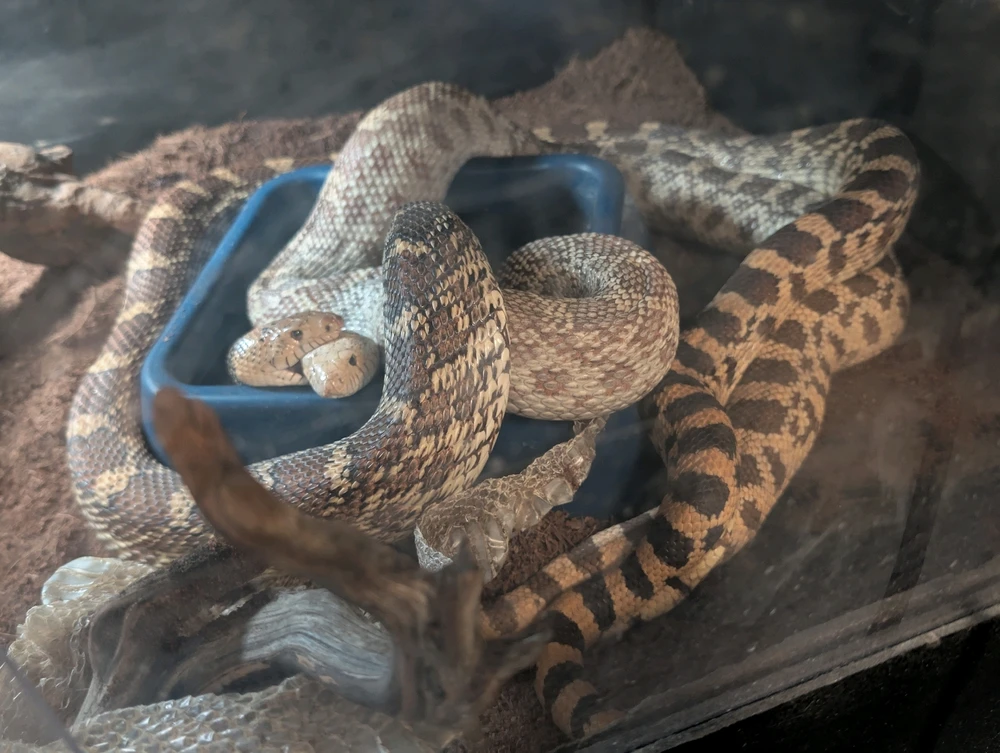 GIF uploaded by Jordin