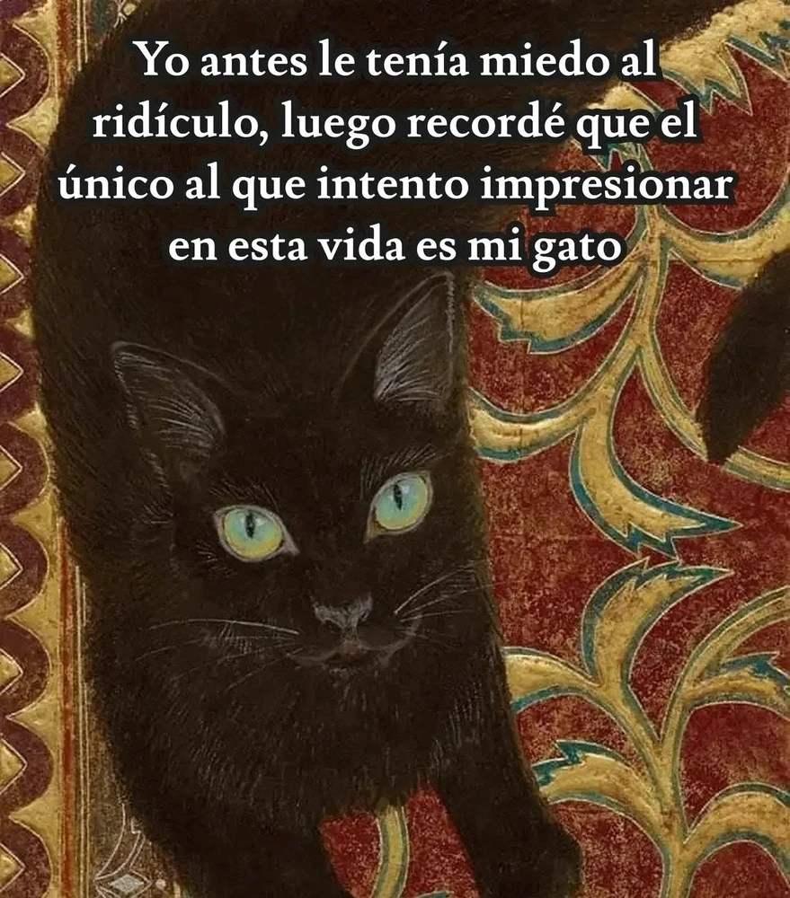 GIF subido por ❤ Sophia aka Mango Mami ❤️