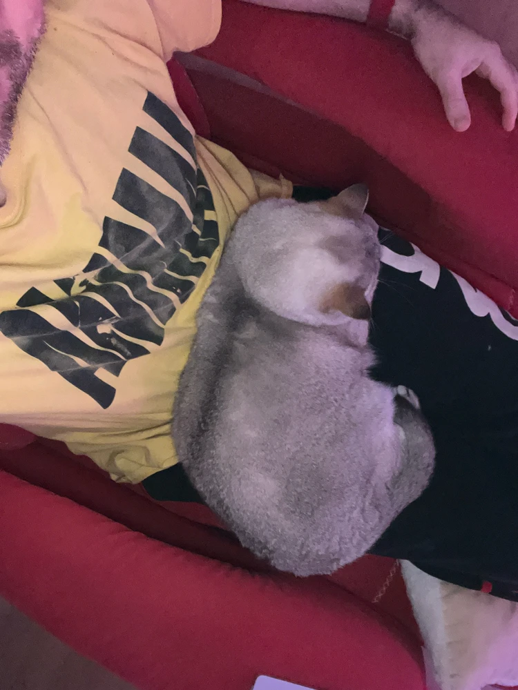 GIF hochgeladen von Steffen