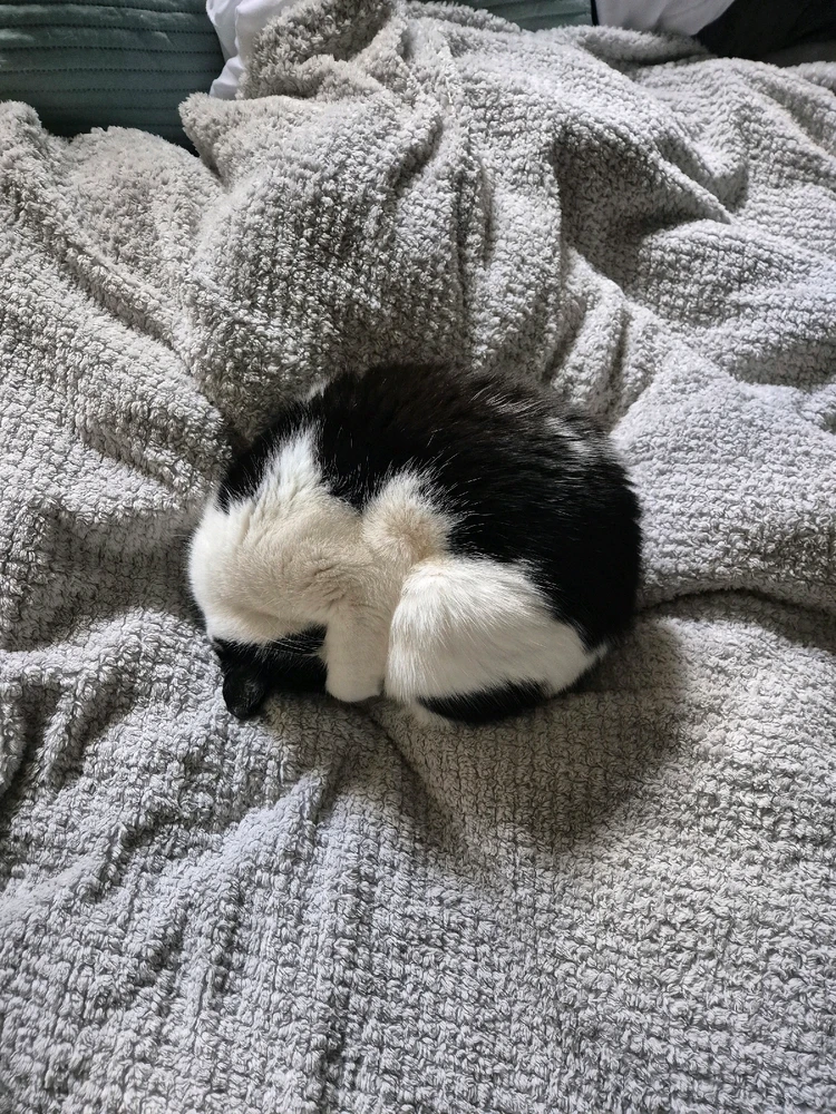 GIF uploaded by Benn