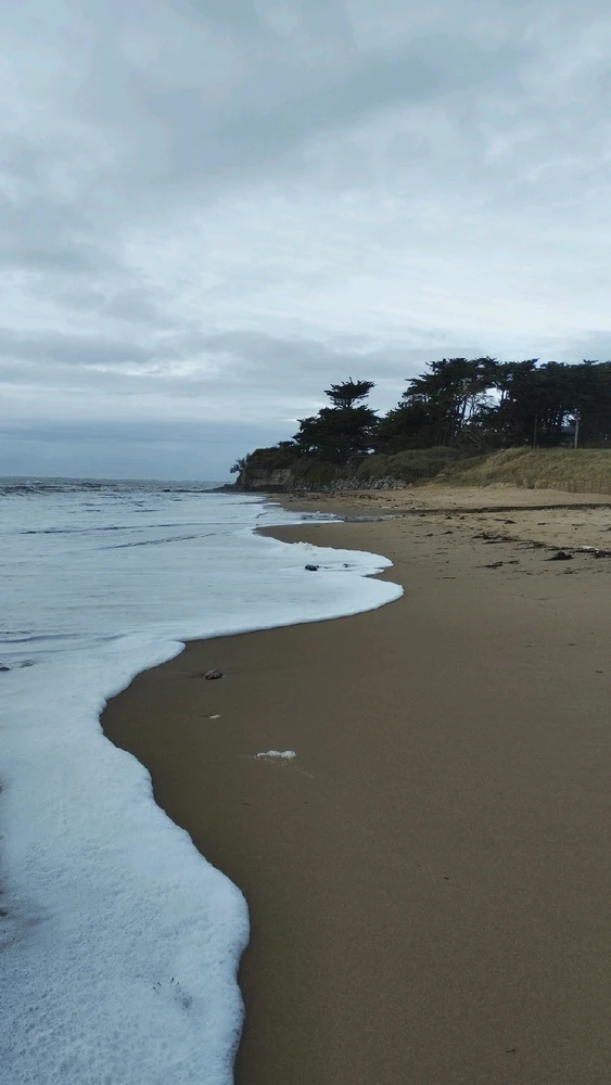 GIF ajouté par Océane 🦋