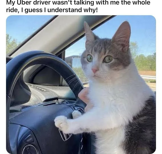 GIF uploaded by Vish