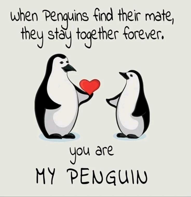 GIF uploaded by Vaibhav