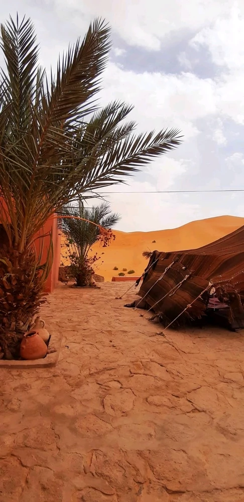 Image ajoutée par Zineb 🍉