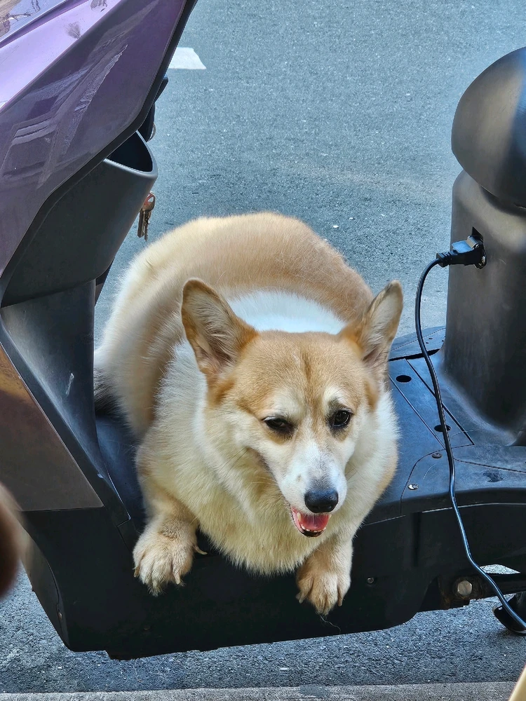 GIF uploaded by Arielle