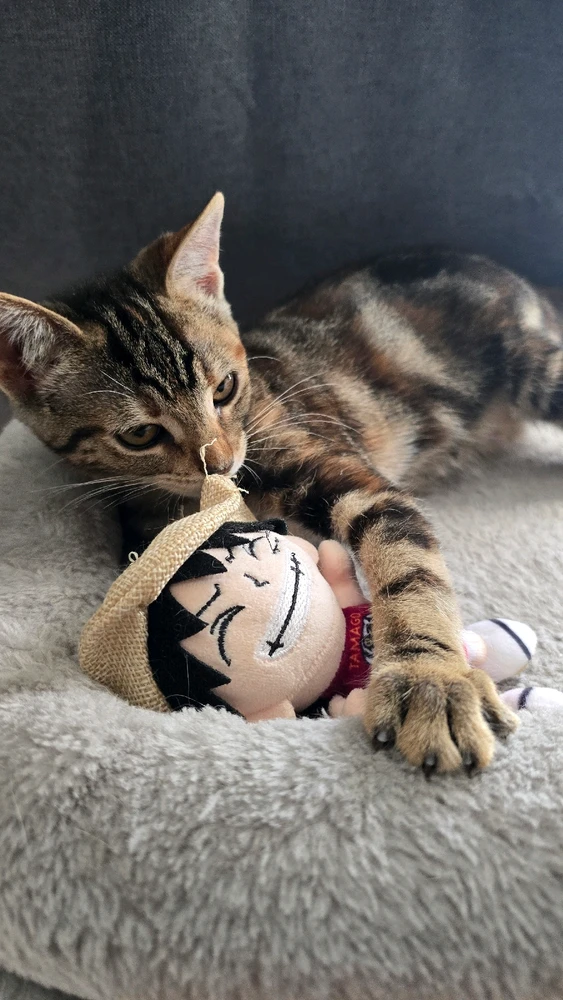 Image uploaded by Eric