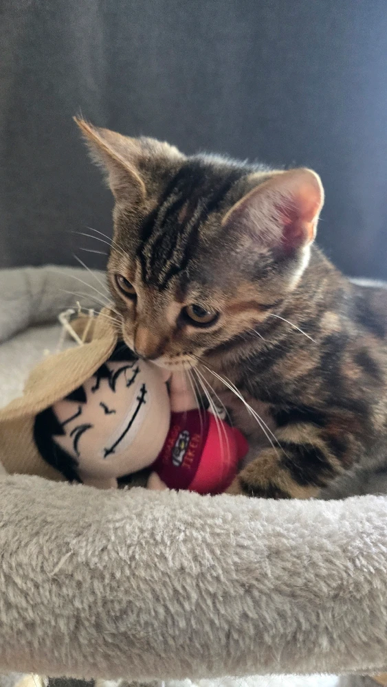 Image uploaded by Eric