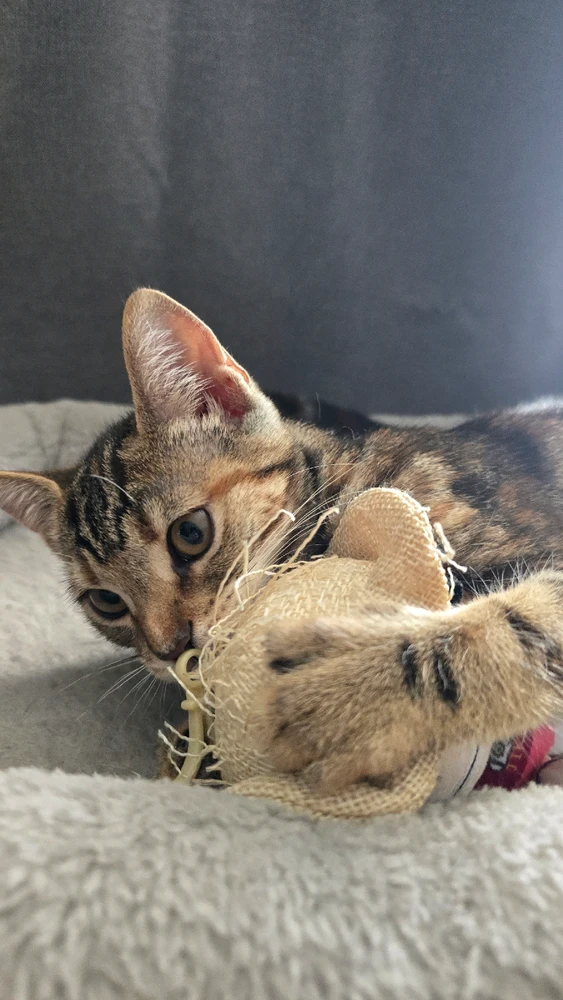 Image uploaded by Eric