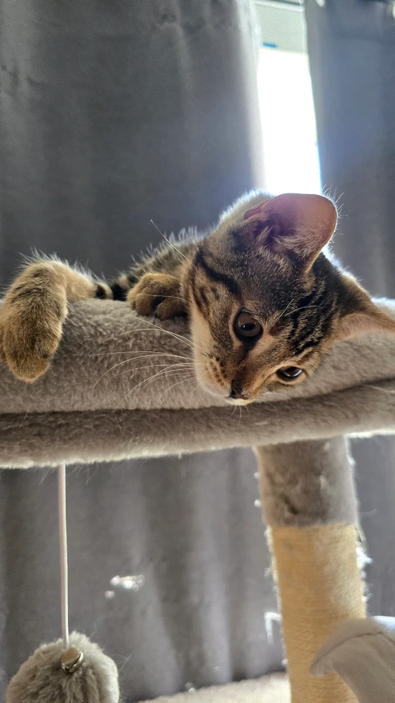 Image uploaded by Eric