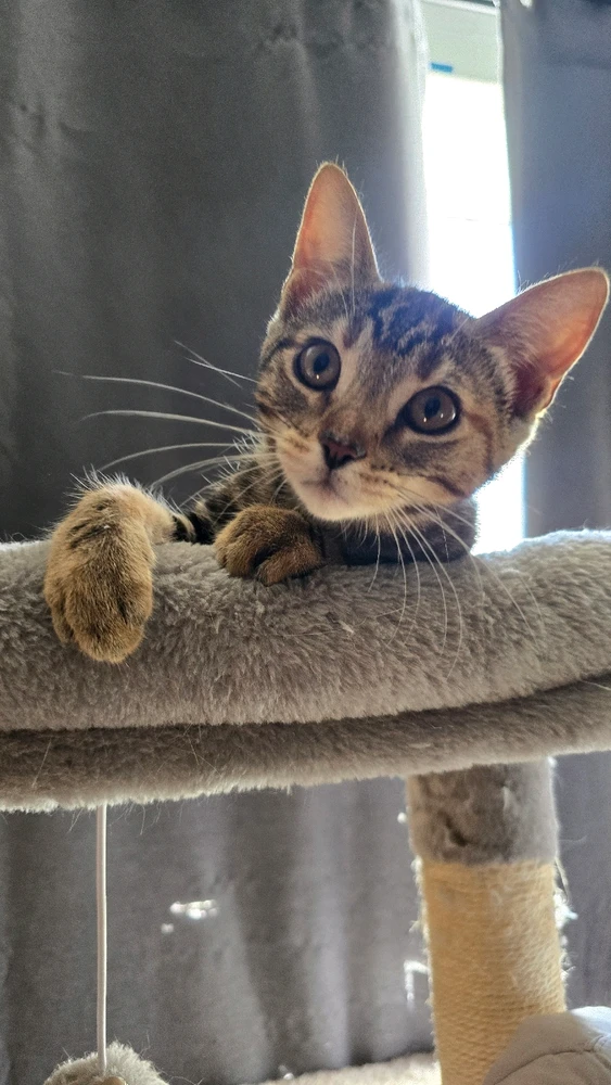 Image uploaded by Eric