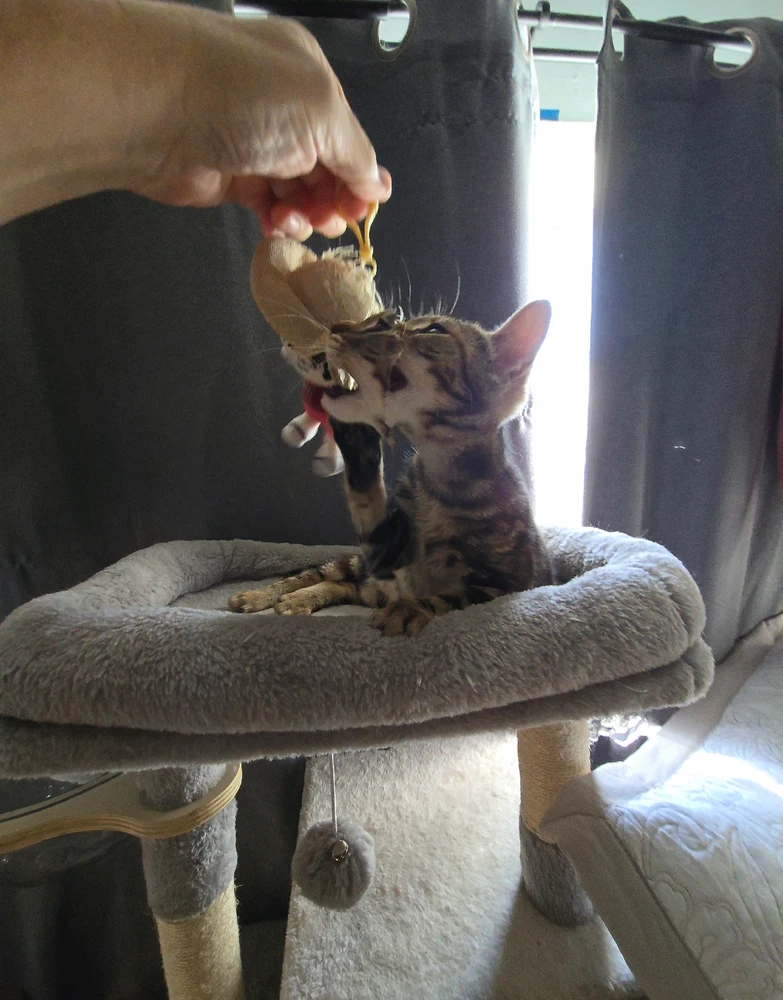 Image uploaded by Eric