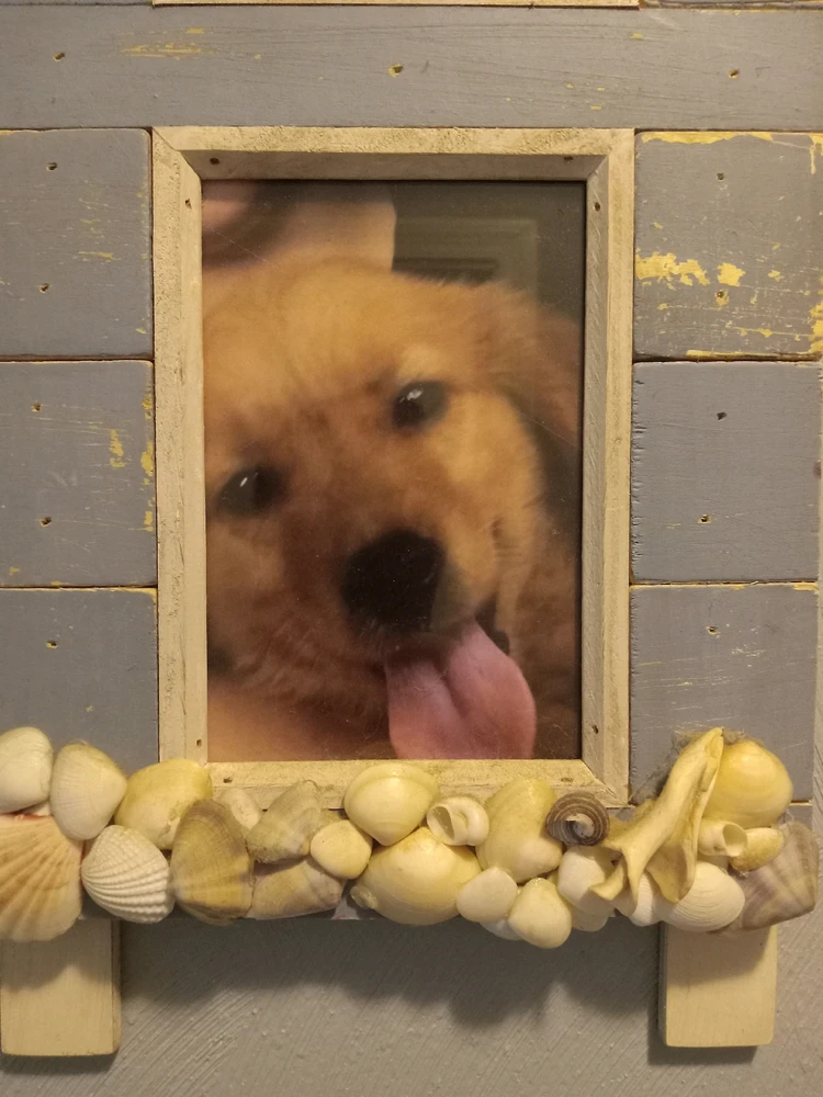 GIF uploaded by Travis "Bickle" Pugh