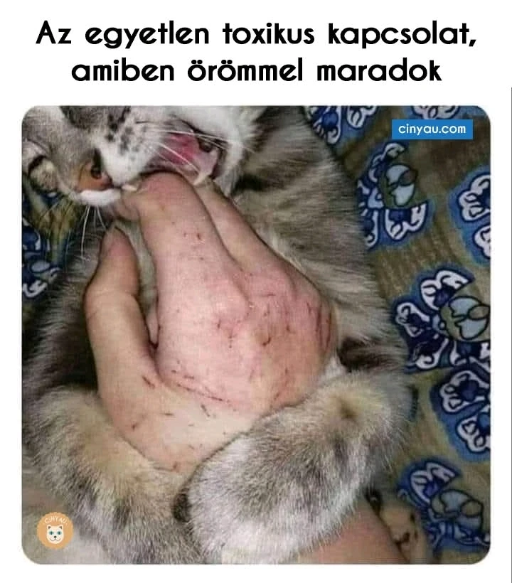 Dona 🦝👻🦝 által feltöltött GIF