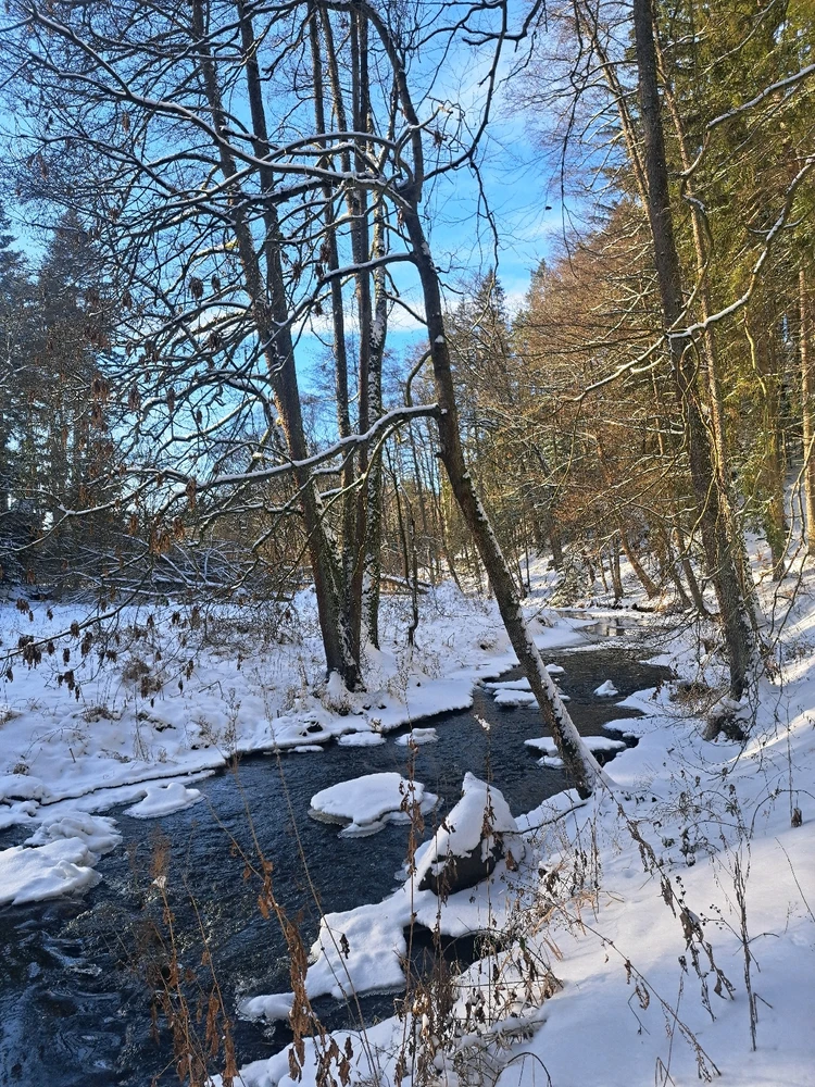 Obrázek nahrál Veronika