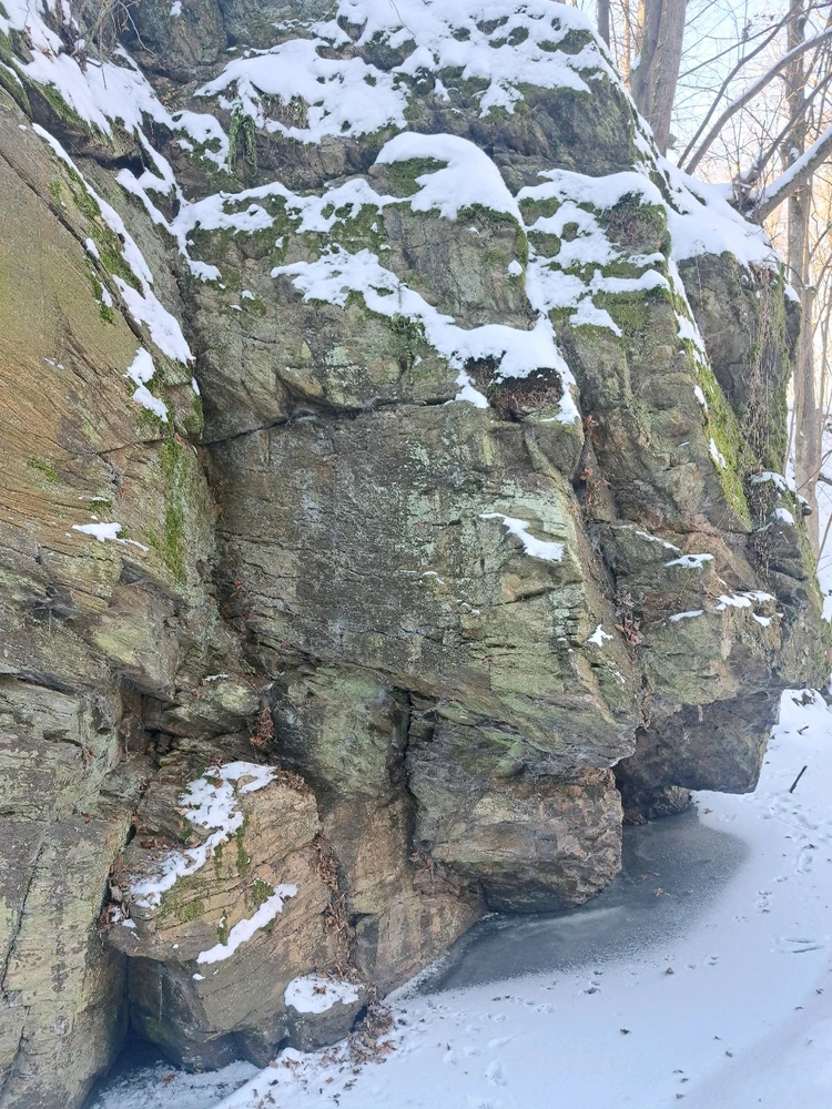 Obrázek nahrál Veronika