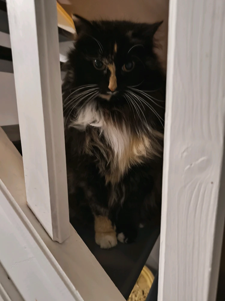 Image ajoutée par Alexis