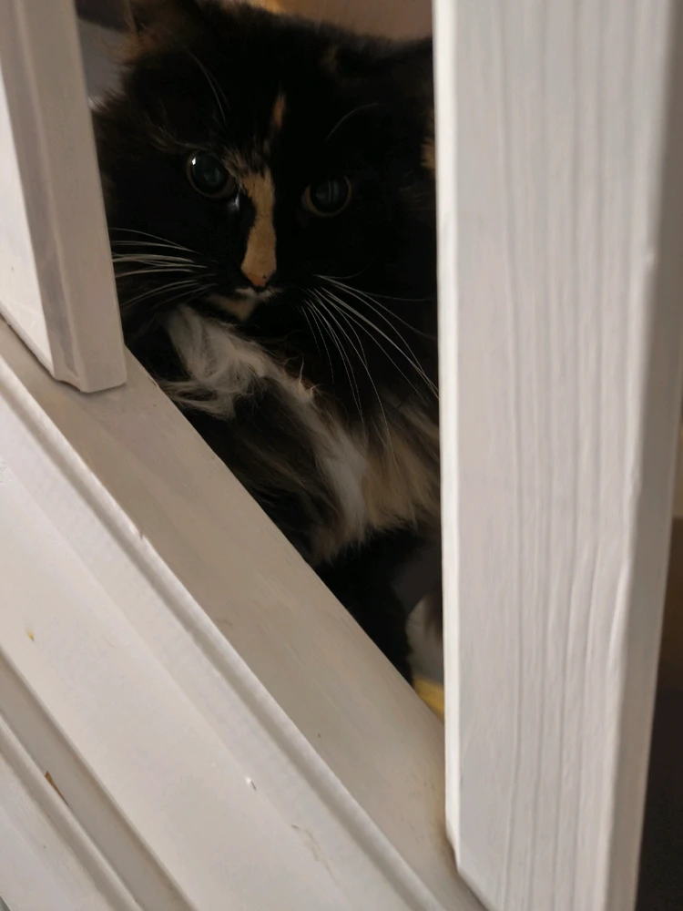 Image ajoutée par Alexis