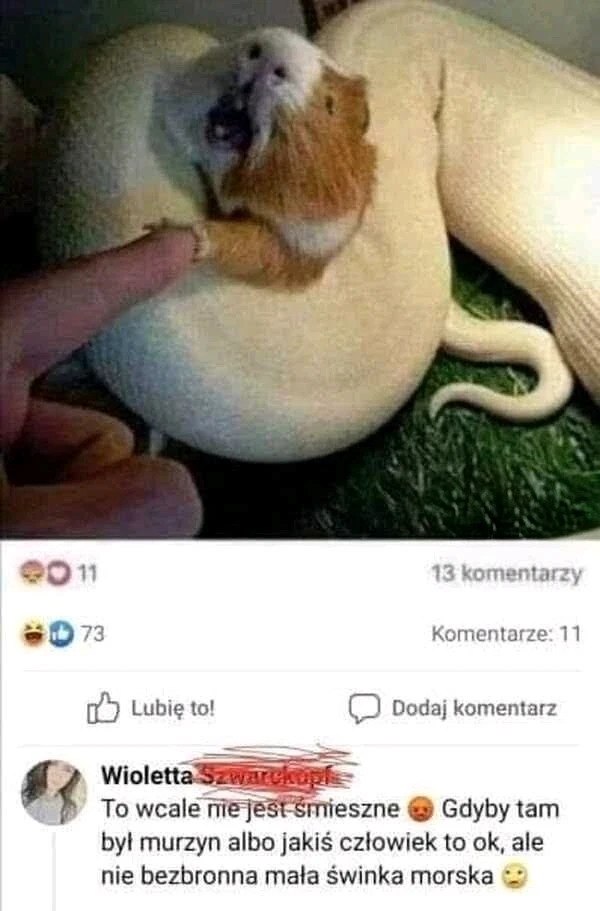 GIF dodany przez Michał