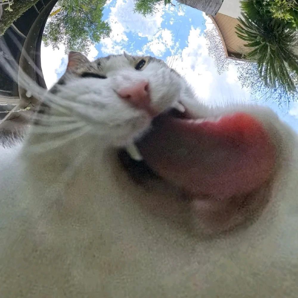 GIF uploaded by ARIF