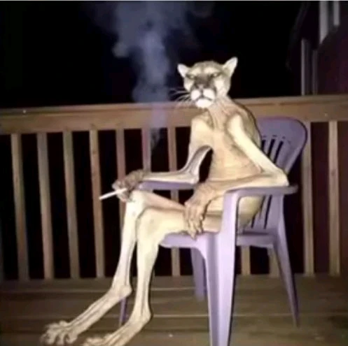 Ender tarafından yüklenen GIF