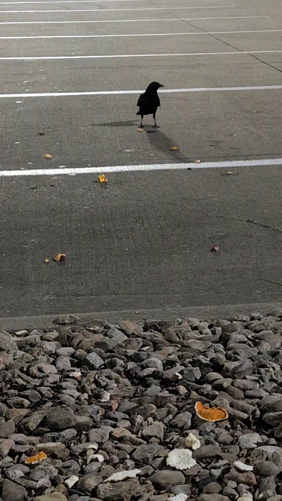 Image uploaded by Raven