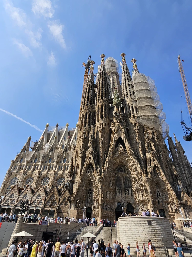 Image uploaded by Ellen