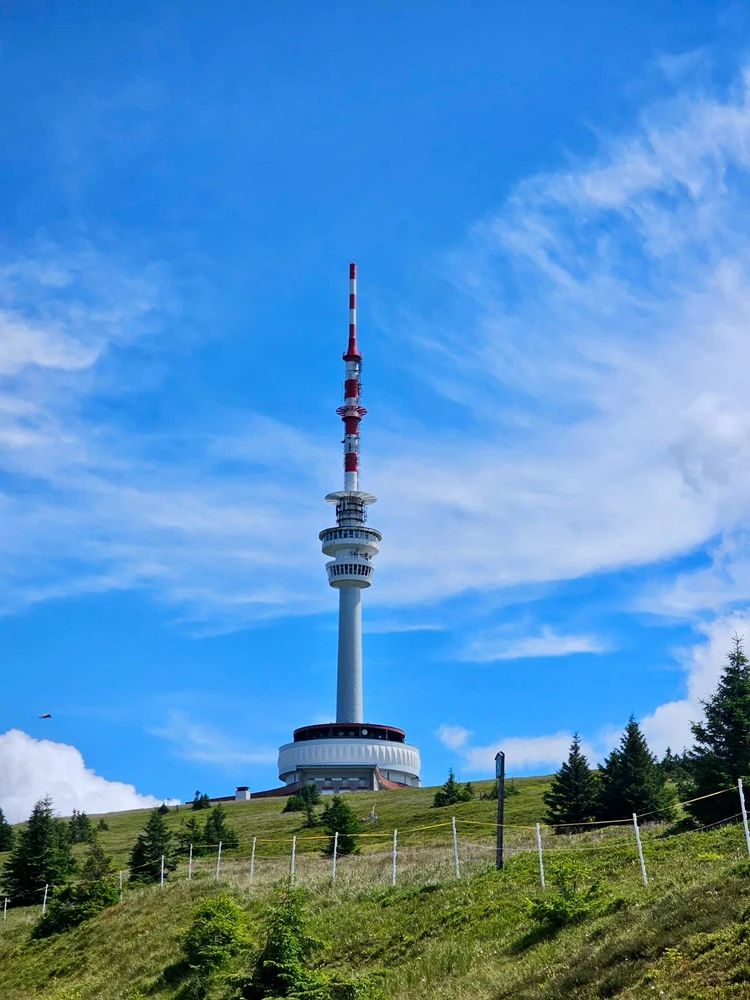 Image uploaded by Ellen