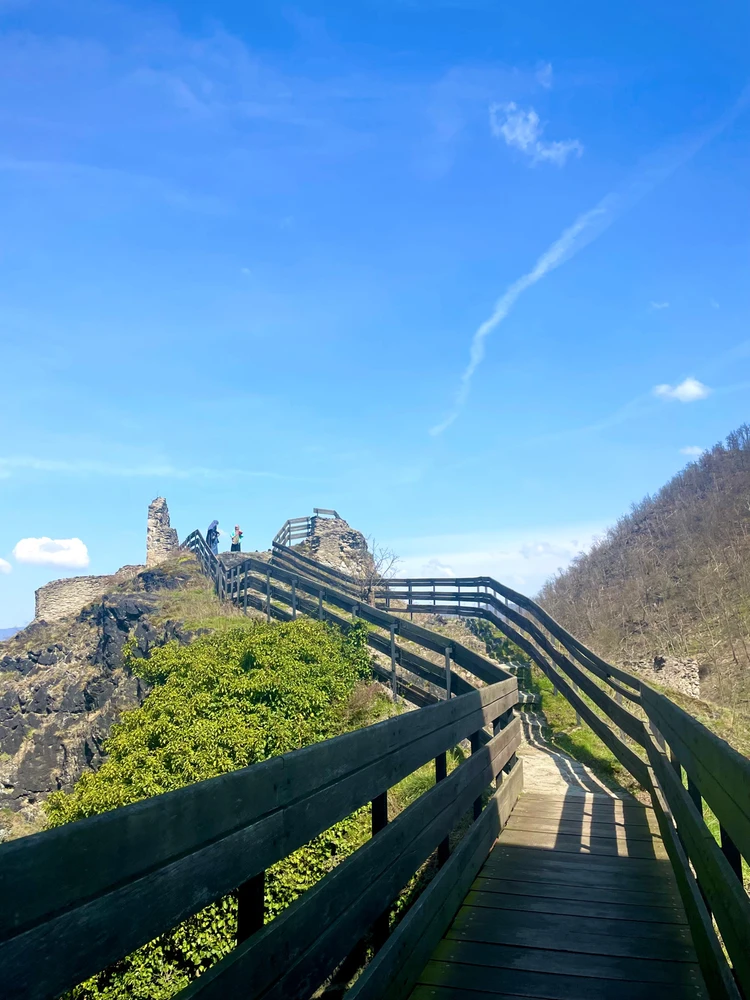 Image uploaded by Ellen