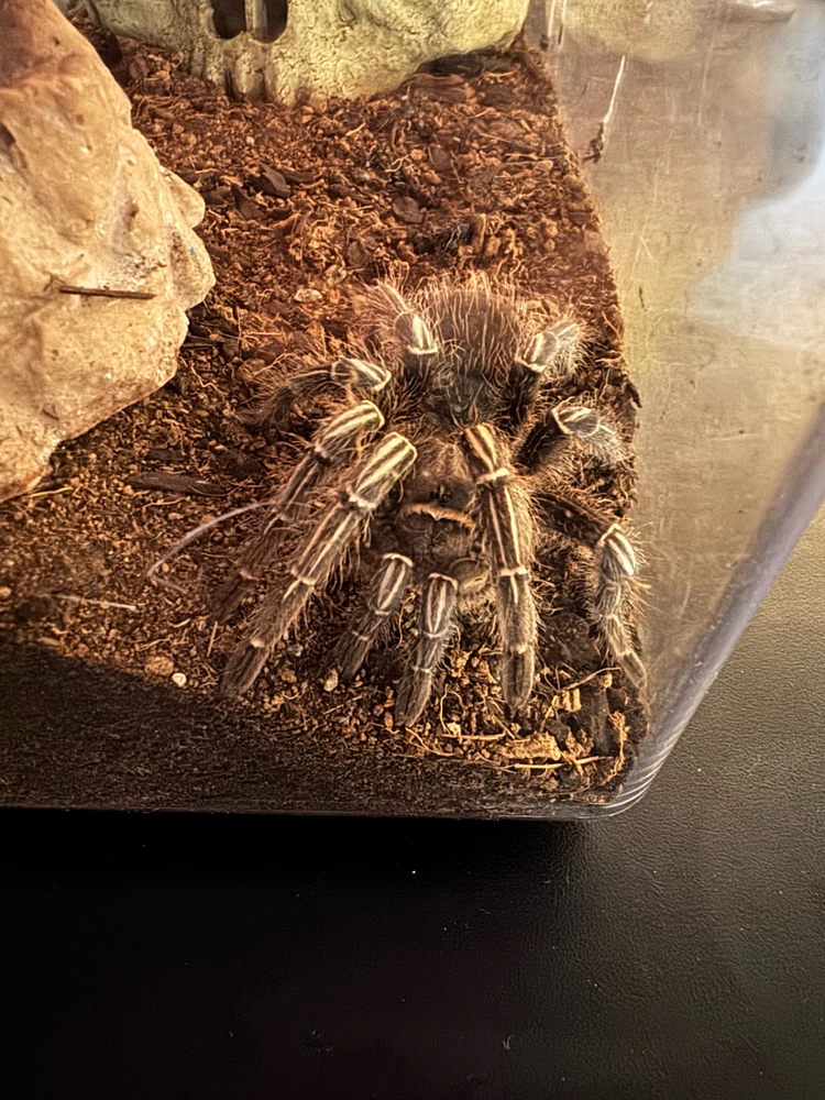 GIF uploaded by Jason