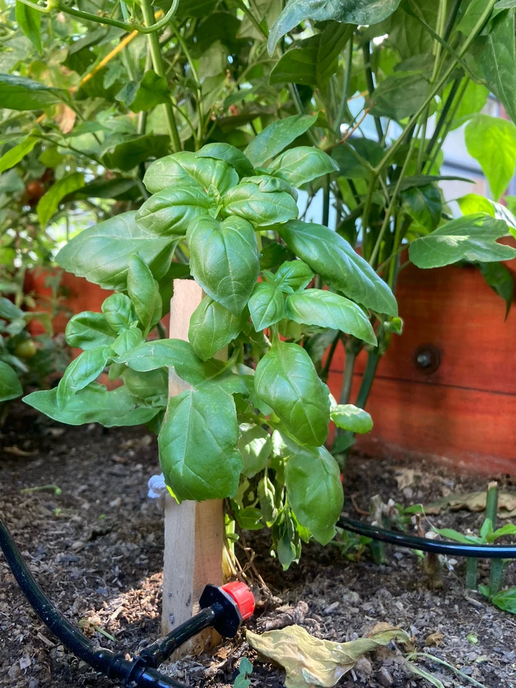 GIF subido por Juan Pablo