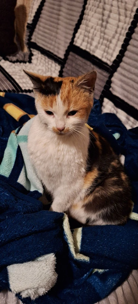 GIF uploaded by Sebastian