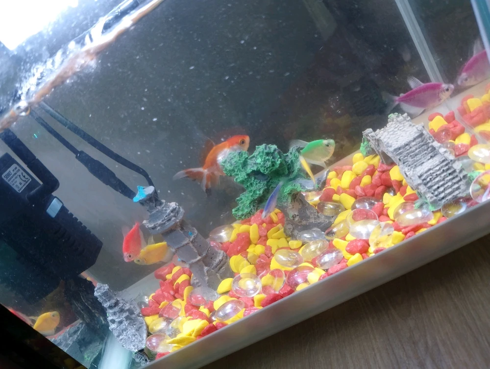 GIF diunggah oleh Gsmuslera