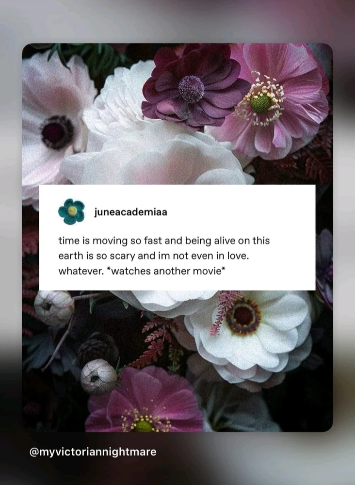 GIF uploaded by Jacqueline