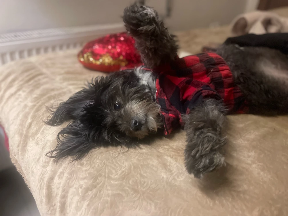 GIF uploaded by Sarah