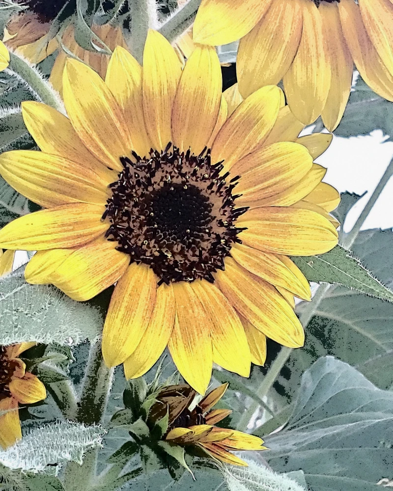 Image uploaded by Jess