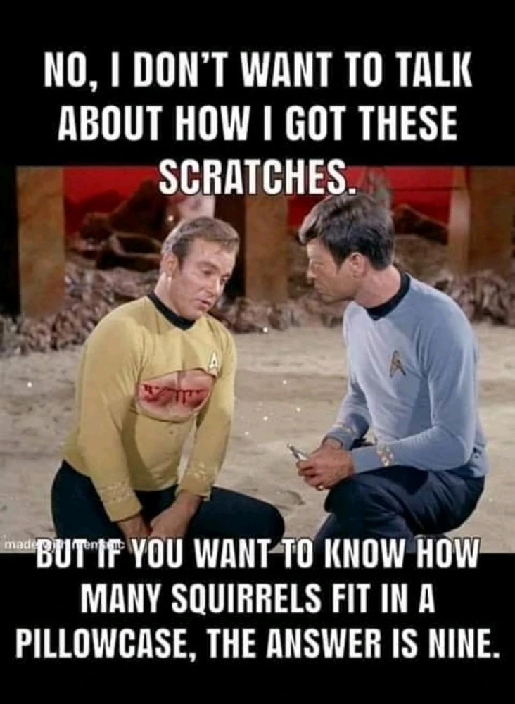 Image uploaded by Grumpy