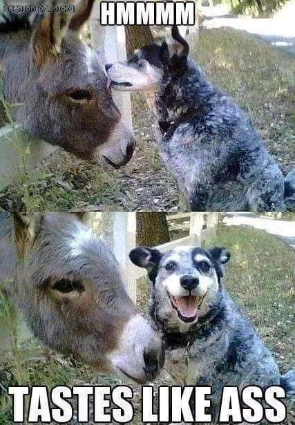 Image uploaded by Grumpy