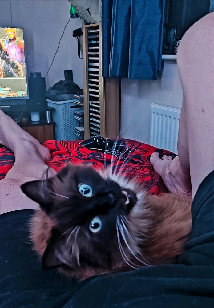 Image uploaded by Andy