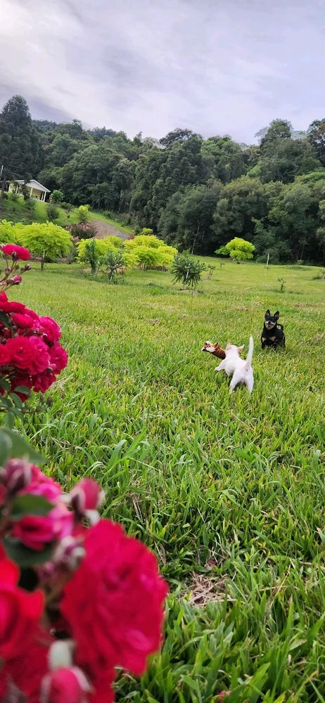 GIF enviado por Dani