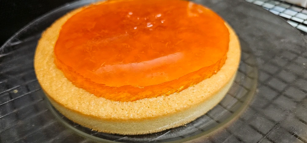 Jelly layer on top of sponge cake.