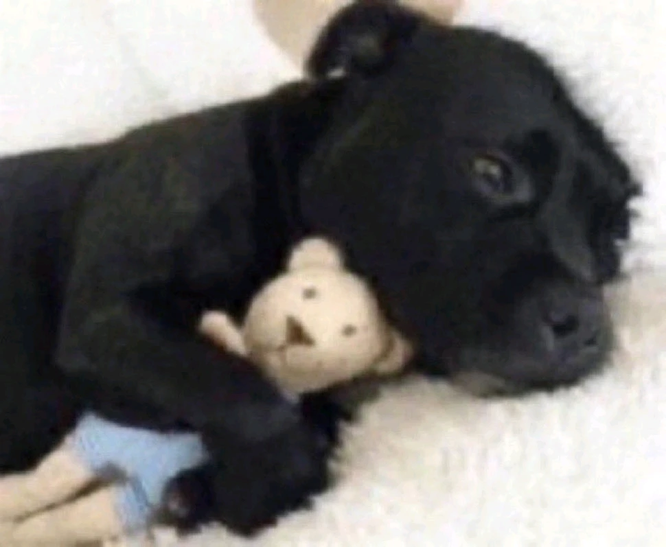 GIF enviado por Nana