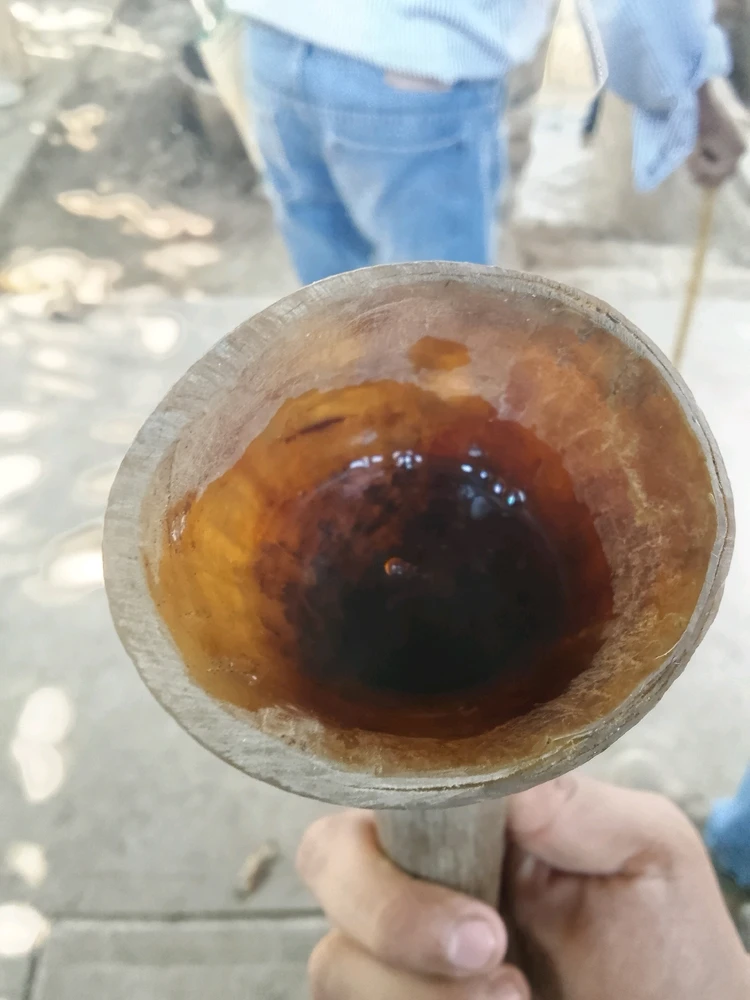 Image uploaded by Juan M